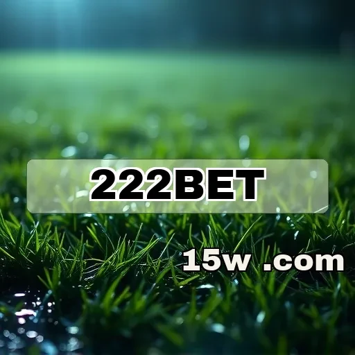 222bet.com: Login Prático e Funcional para Aumentar Seu Jogo